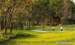 我们第一时间处置若有问题电征询